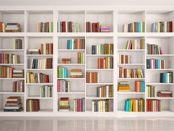 Bookshelf Assembly in Mount Pleasant